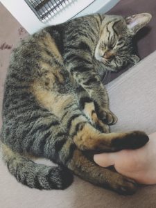 ラヴちゃん