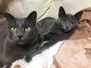 メイとナミ