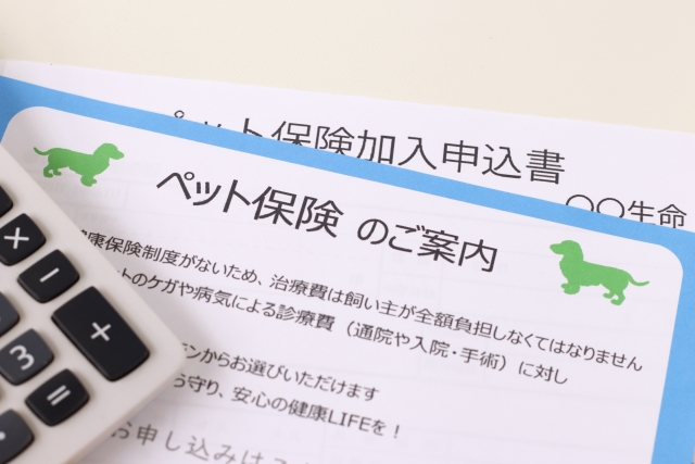 ペット保険とは？ 加入前のチェックポイント