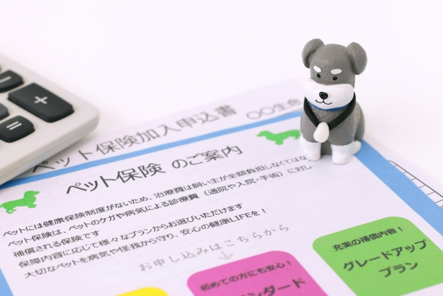知りたい！ ペット保険のよくあるギモン特集