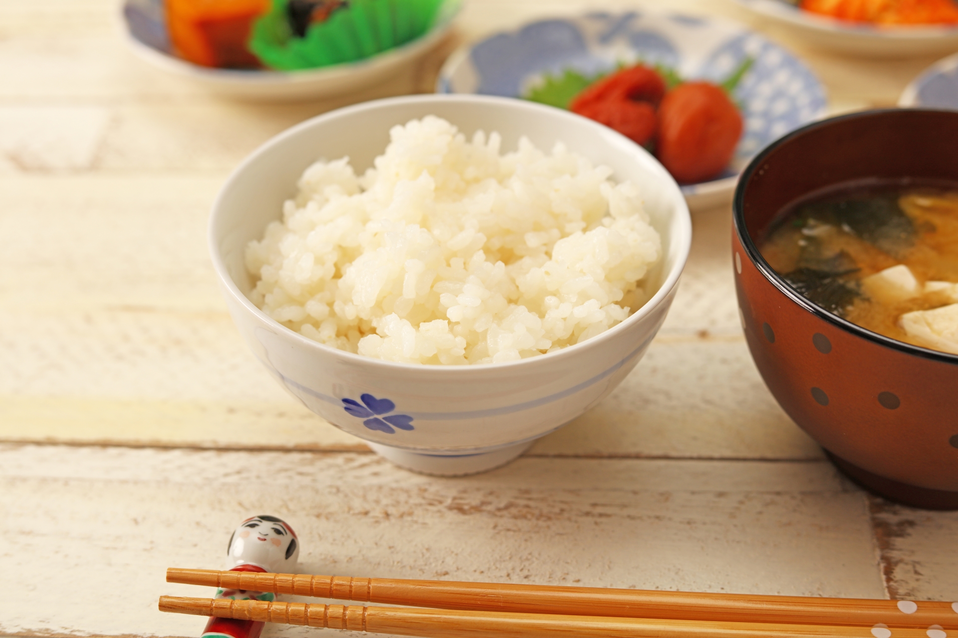 ネコは白米を食べてもいいの？与え方と注意すること