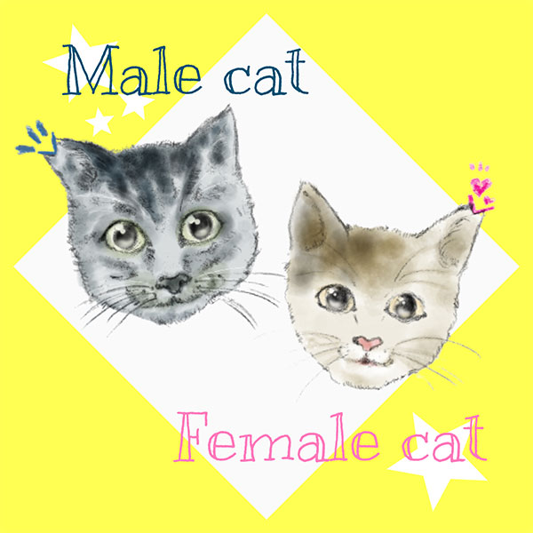 知っておきたい！猫の不妊去勢手術助成制度