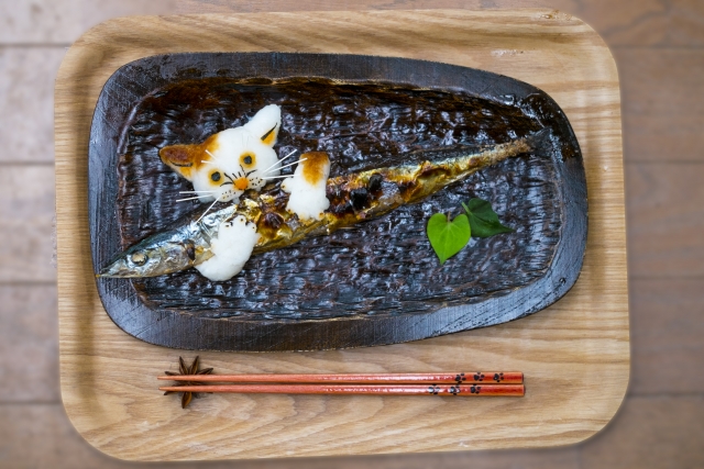 『猫は魚好き』というイメージは日本だけだった？！他の国では何を食べている？