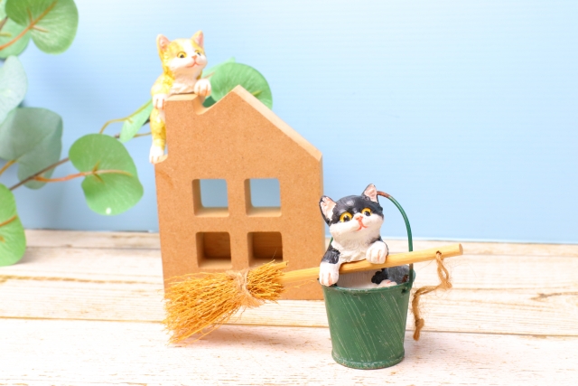 簡単なのにキレイ!あるグッズを使った猫の抜け毛に効果的なお掃除方法とは?