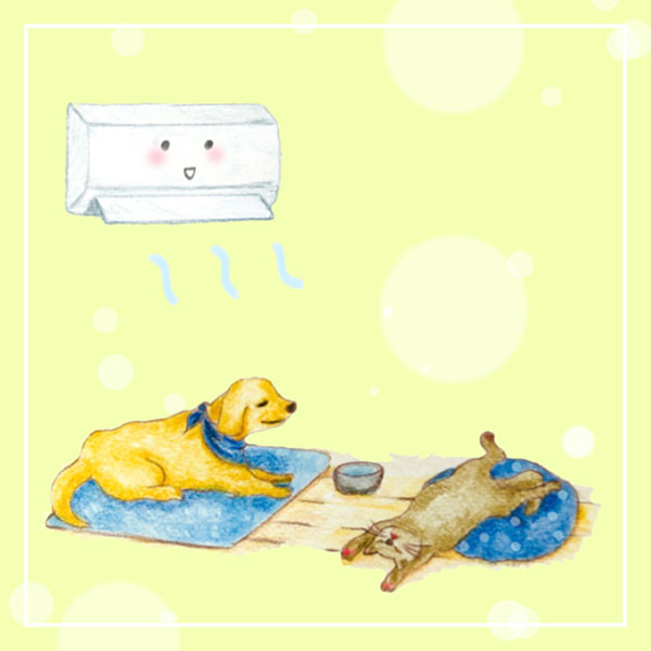 知っておきたい！ペットの熱中症対策