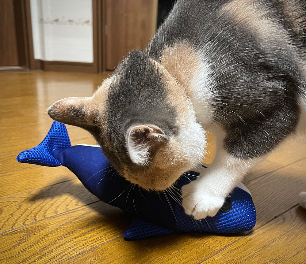 けりぐるみ、取り合いになるからもう１つ買ってきました！【らくらくデンタルTOYけりぐるみ（サメ）】