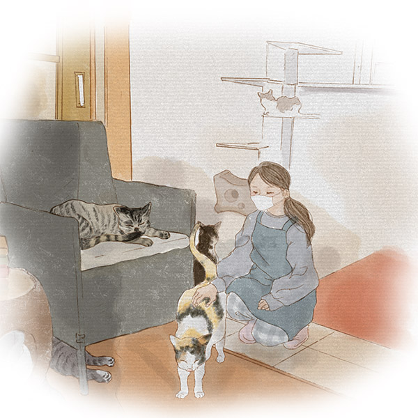 知っておきたい！『保護猫カフェ』最新事情